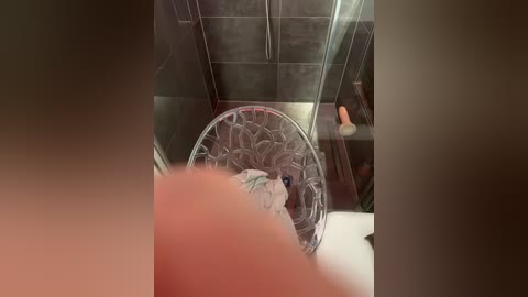 Video of a dark, modern bathroom with a transparent, decorative metal trash can containing wet towels. The scene is captured from a low-angle perspective, with the trash can's intricate design and wet towels visible.