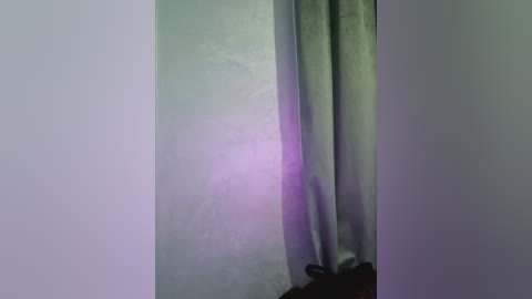 _arabica_ free recording from 2026-01-10 00:11:00