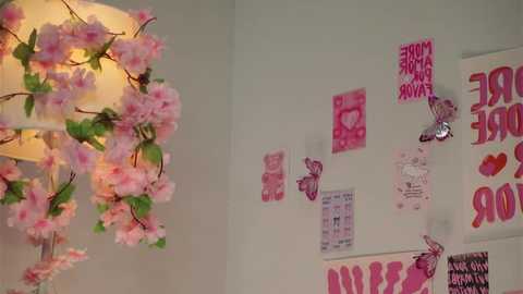 Video of a cozy room with a soft pink floral lampshade, pink cherry blossom branches, and a white wall adorned with pink posters and butterfly decorations.