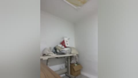 clarachanelricek free recording from 2026-01-10 00:16:00