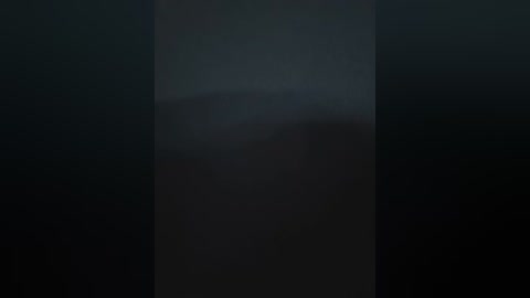 Media: A dimly lit video captures a blurred figure standing in a dark room. The figure is partially obscured by shadows, with indistinct facial features and clothing details. The background is mostly dark, enhancing the mysterious and somber atmosphere.