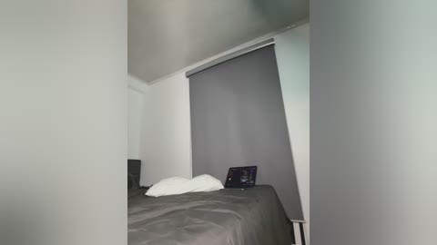 Media: Video of a dimly lit bedroom with a gray bed, a white pillow, a black tablet on the bed, and a gray roller shade partially covering the window.