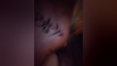 labellasex free recording from 2026-01-10 01:57:00