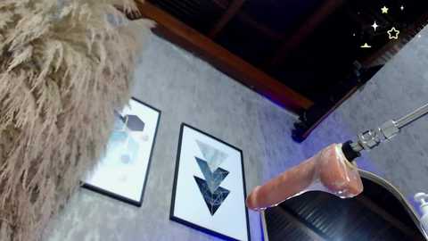 Video of a modern, geometrically designed room featuring a large, fluffy, beige rug, two framed abstract art pieces, and a metallic, curved shower head.