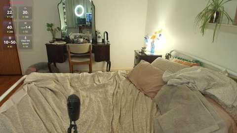 Video of a cozy, dimly lit bedroom with beige bedding, a small desk, chair, and potted plant; a microphone is positioned in the foreground.