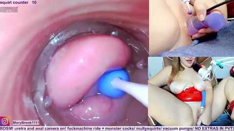 Video: Close-up of a woman's vaginal canal being penetrated with a blue vibrator; another image shows her sitting with a red bra and exposed breasts.