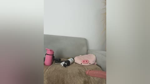 Video of a pink vibrator, black remote, and white stuffed pig on a beige blanket, partially obscured by a person's erect penis in the foreground.