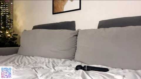 Video of a modern bedroom with two gray headboards, white pillows, and a black vibrator on the bed. Soft lighting, cityscape window, and framed artwork in the background.