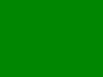 ruru_shuv free recording from 2026-01-10 01:57:00