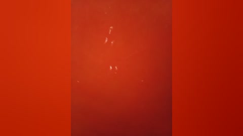 fernanda30 free recording from 2026-01-11 00:33:00