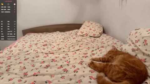 fruityxo free recording from 2026-01-11 00:33:00