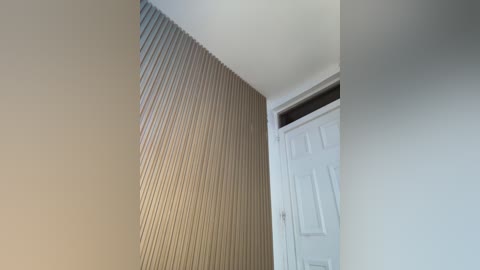 Video of a modern interior wall with horizontal wooden slats in a light beige color, leading to a white door with a rectangular handle. The background is a plain white wall.
