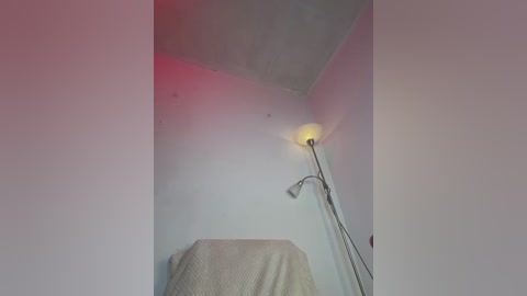 guadalupe_lopez free recording from 2026-01-11 00:33:00