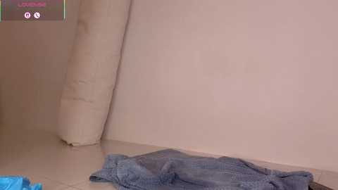 Video of a beige wall with a large cylindrical white tube attached. On the floor, a blue towel and a small pile of clothes are visible.