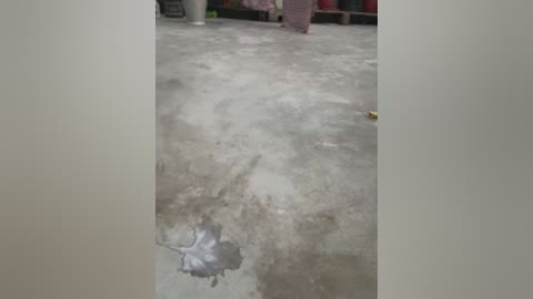 Video of a concrete floor with a large puddle of water and a faintly visible white leaf or object, blurred background of a room with indistinct figures.