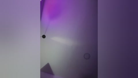 Media: A video of a misty, blurred interior space with a purple hue, featuring a black dot and a faint shadow, creating an abstract, minimalist atmosphere.