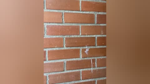 Video of a brick wall with reddish-brown bricks and mortar, showing wear and small white cracks. The background is a solid, smooth, light brown wall.