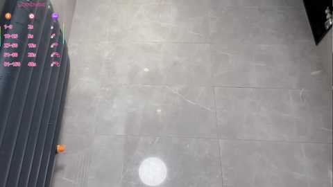 ayw_21 free recording from 2026-01-12 10:52:00