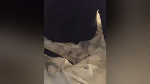 Video of a close-up view of ice crystals, showing intricate, jagged formations with white and clear textures against a dark, possibly shadowed background.