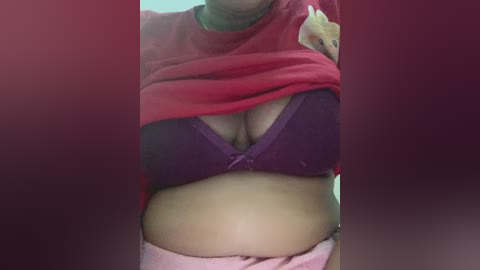 Media: Video of a woman lifting a red shirt to reveal a purple bra, exposing her midriff. She has light skin, and her hands are visible, one holding the shirt and the other touching her shoulder.