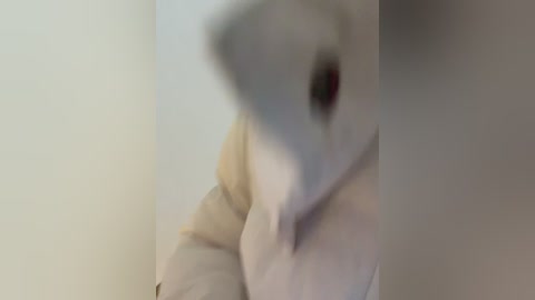 winter11 free recording from 2026-01-12 00:40:00