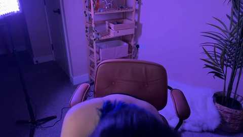 _vixenp free recording from 2026-01-13 03:18:00