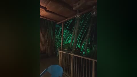 andresxxxshows free recording from 2026-01-13 00:33:00