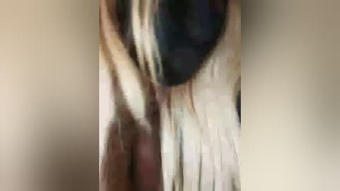 farawla_elgmda free recording from 2026-01-14 00:18:00