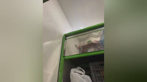 miia_jazmin free recording from 2026-01-13 00:03:00