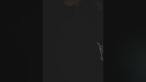 roouse free recording from 