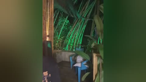 andresxxxshows free recording from 2026-01-14 00:28:00