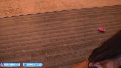 dakota_lee free recording from 2026-01-14 00:21:00