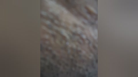 natalia_vidal free recording from 2026-01-14 00:27:00