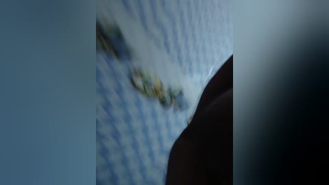 queennapal free recording from 2026-01-14 00:21:00