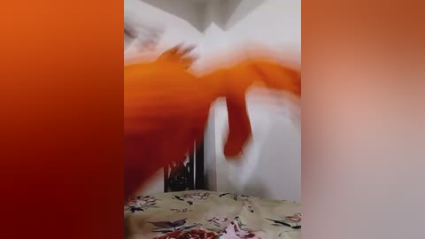 your_rasmalai free recording from 2026-01-15 00:12:00