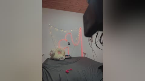 antonellastrip_ free recording from 2026-01-16 02:26:00