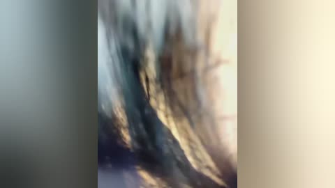 A blurry, high-contrast video depicting a rocky, mountainous landscape with indistinct silhouettes of trees and a sunlit horizon, suggesting a serene, possibly arid or mountainous setting.