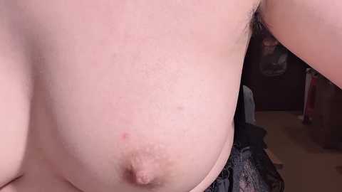 lt_333 free recording from 2026-01-16 00:41:00