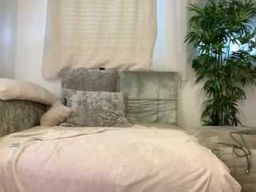 Video of a cozy bedroom with a beige bedspread, gray and white textured pillows, and a tall green potted plant beside a window. Soft, diffused light filters through sheer curtains.