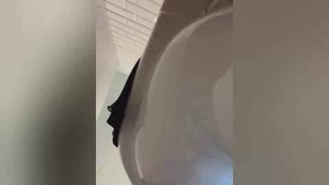 mia_mia_m free recording from 2026-01-16 00:41:00