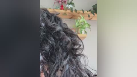 sugartroubl33 free recording from 2026-01-17 00:08:00