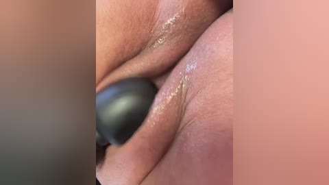 zendaa_ free recording from 2026-01-16 00:41:00