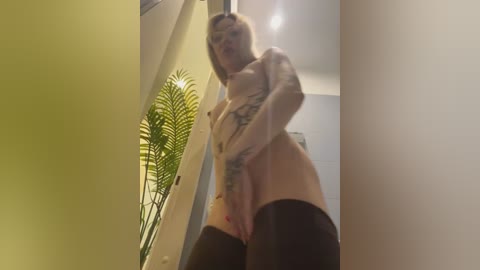 babydolll free recording from 2026-01-17 00:25:00