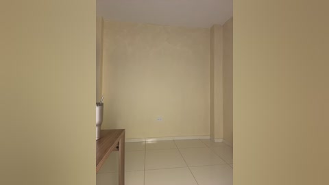 Video of a minimalist, empty room with beige walls and tiled floor, featuring a wooden table with a vase of white flowers on the left.