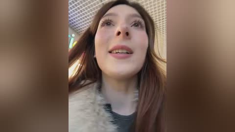 lillukatten free recording from 2026-01-17 00:25:00