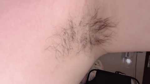 lt_333 free recording from 2026-01-17 00:08:00