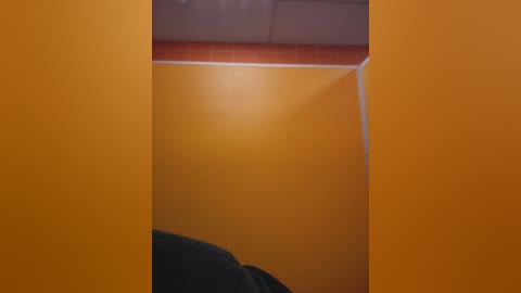 Video of a yellow wall with a black couch in the foreground, partially visible. The background has a gray ceiling and a wooden floor. The image is slightly blurred.