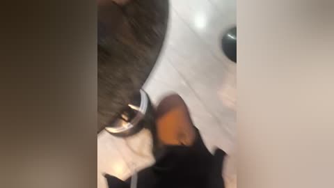 secret_couple_ free recording from 2026-01-17 00:25:00