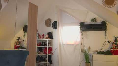 amaliamour free recording from 2026-01-18 00:33:00