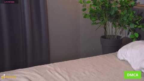 bellacle free recording from 2026-01-18 00:04:00